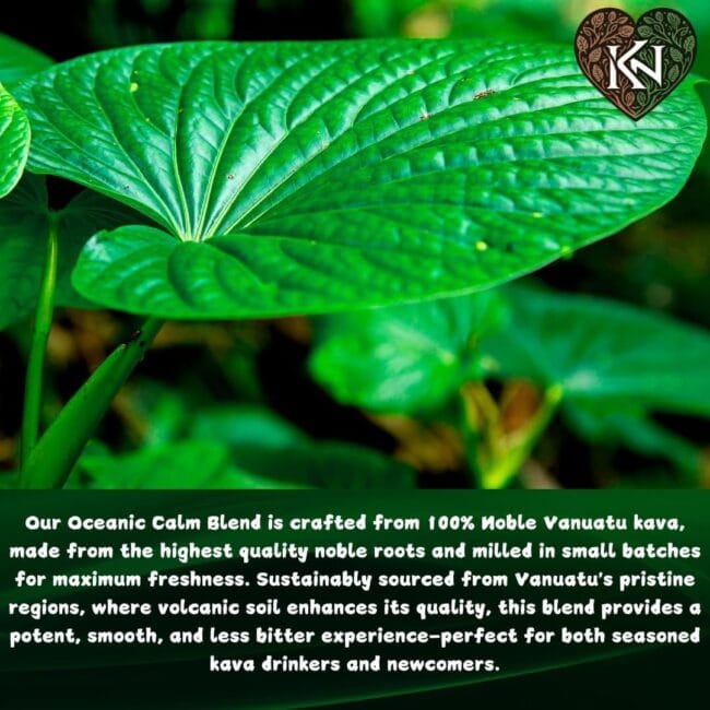 Kava Powder - Görsel 5
